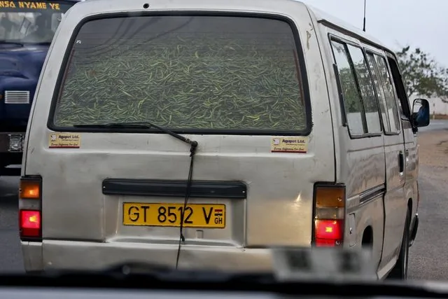 the van is full of string beans