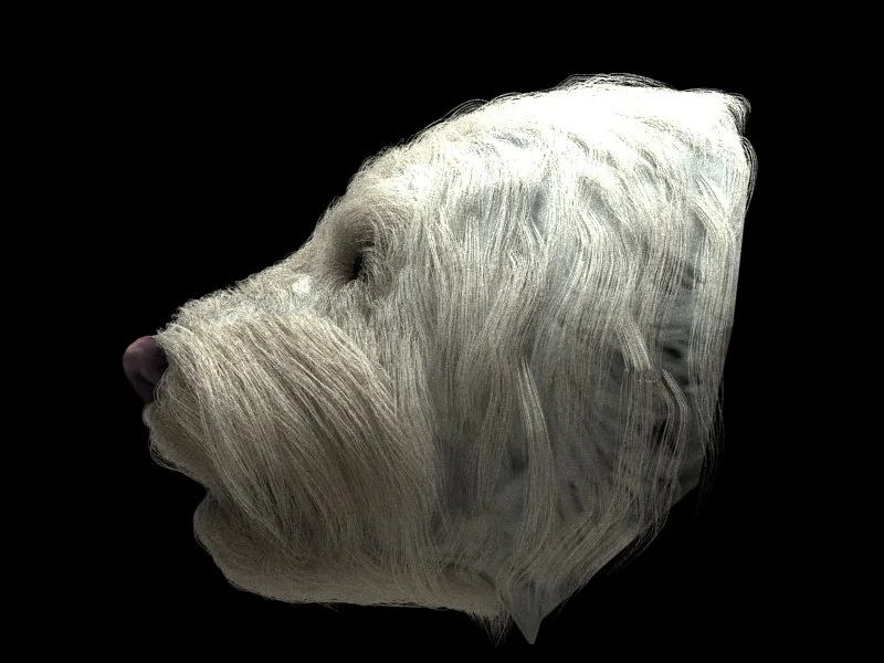 CG fur test render of Lucy's groomed head in profile on white