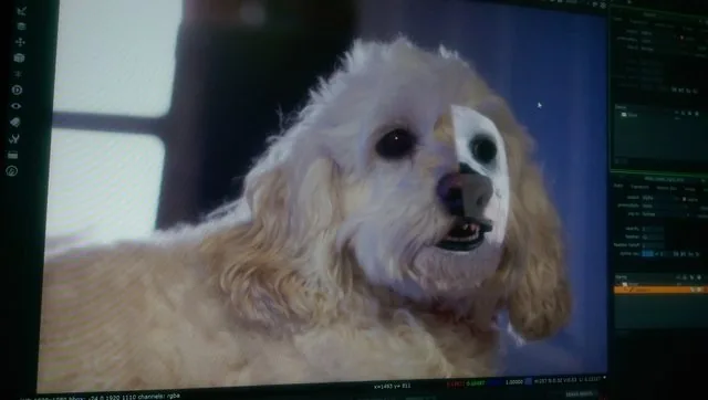A Nuke compositing session showing Lucy the dog with the CG replacement muzzle composited over one half of her face
